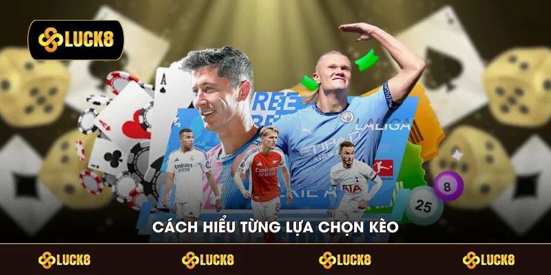  Cách hiểu từng lựa chọn kèo